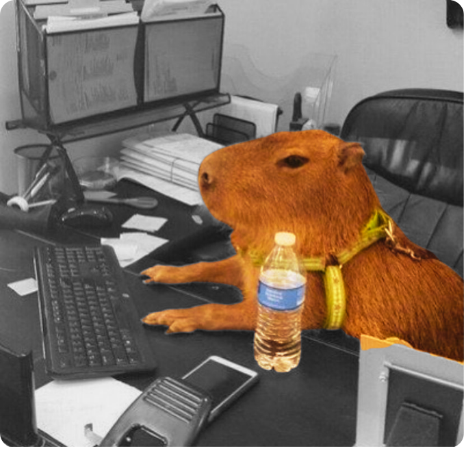 Capybara working on laptop