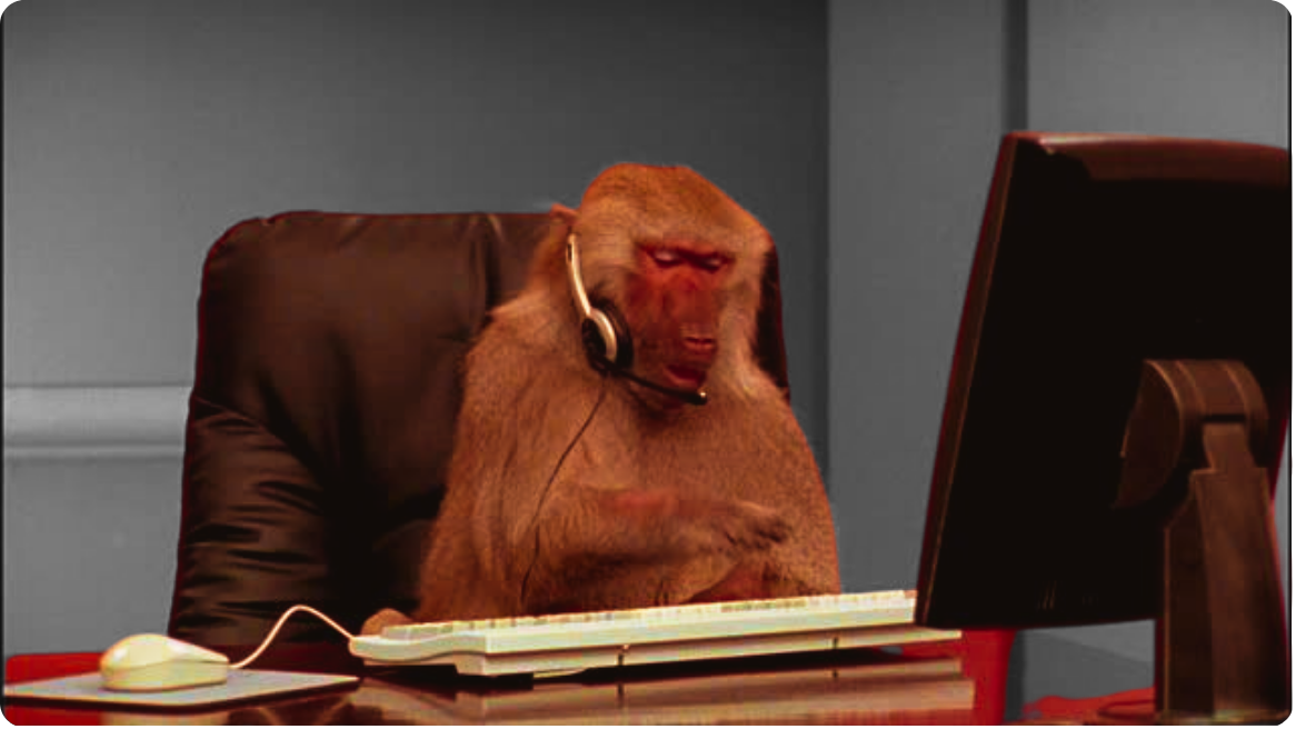 Monkey working on laptop